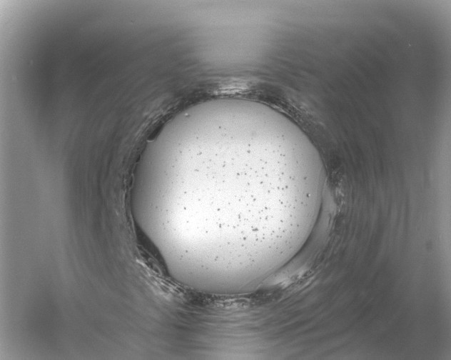 X0000060811441200512011747
