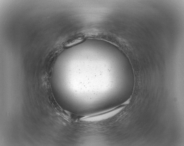 X0000060811445200512011747
