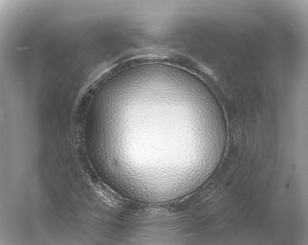 X0000060811448200512011747