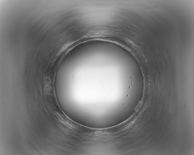 X0000060811449200512011747