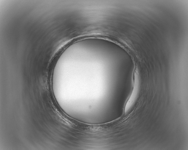 X0000060811452200512011747