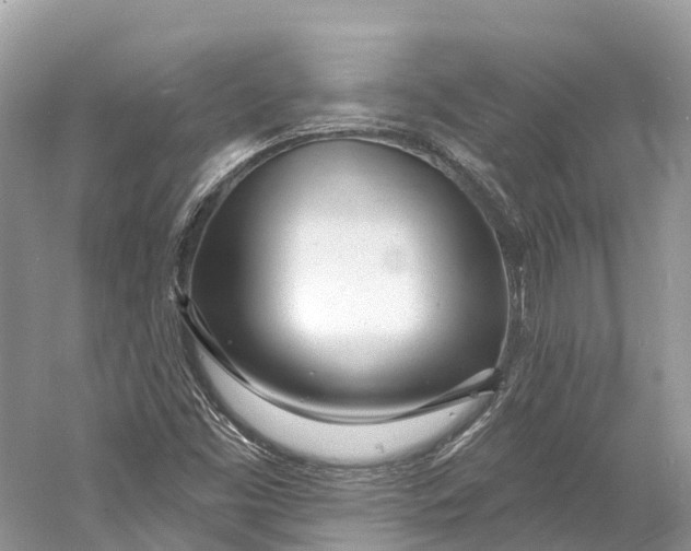 X0000060811453200512011747