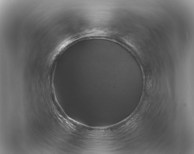 X0000060811455200512011747