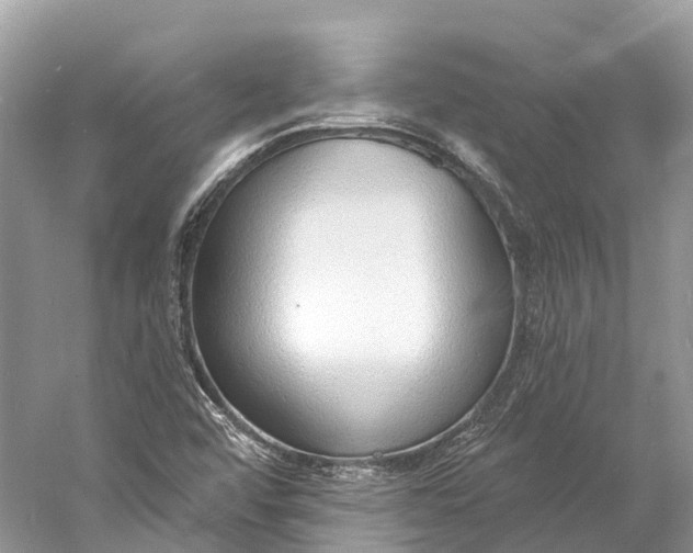 X0000060811456200512011747