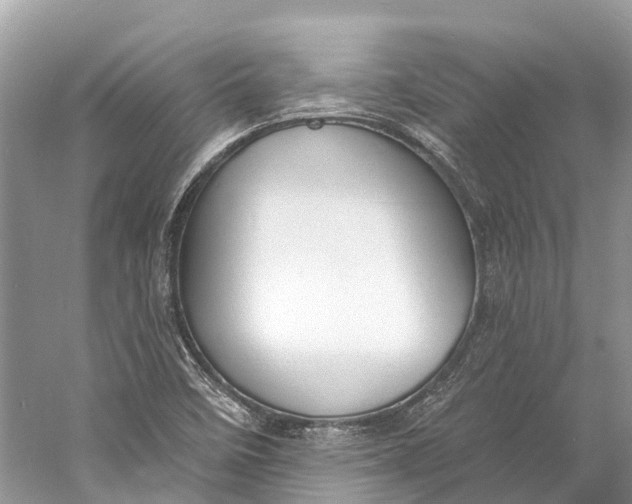 X0000060811458200512011747