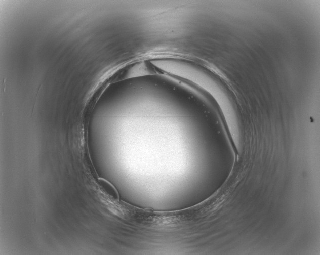 X0000060811461200512011747