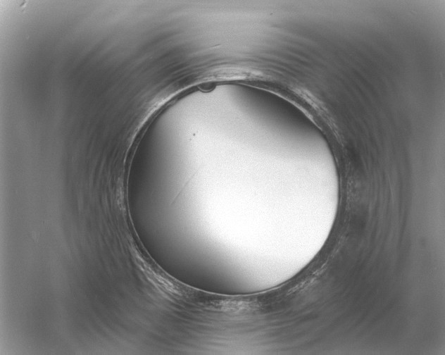 X0000060811465200512011747
