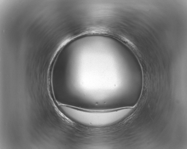 X0000060811471200512011747