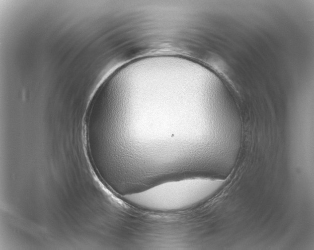 X0000060811476200512011747