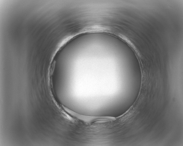 X0000060811477200512011746