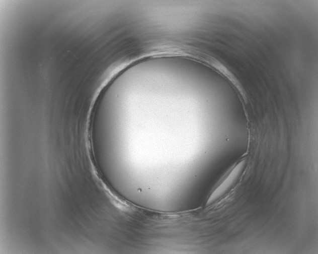 X0000060811485200512011746