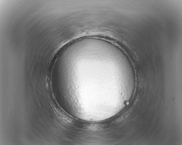 X0000060811497200512011746