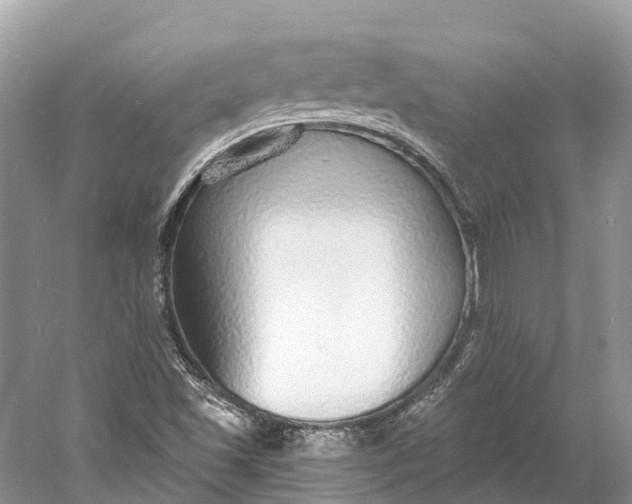 X0000060811501200512011746