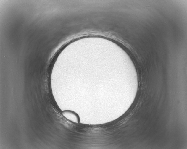 X0000060811502200512011746