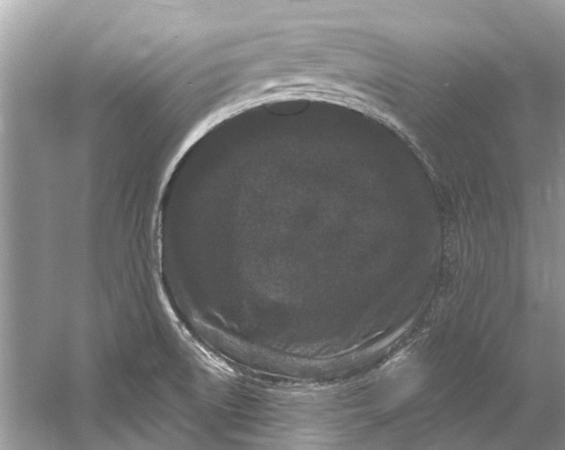 X0000060811522200512011746