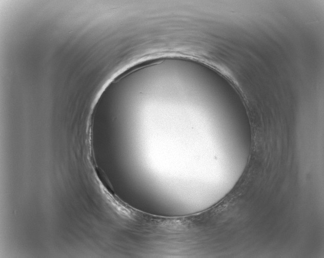 X0000060811524200512011746