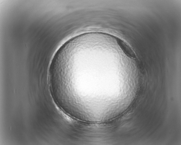 X0000060811527200512011746