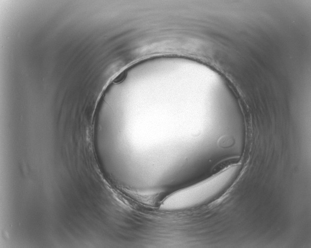 X0000060811529200512011746