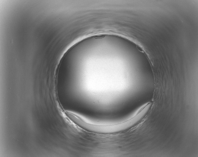 X0000060811534200512011746