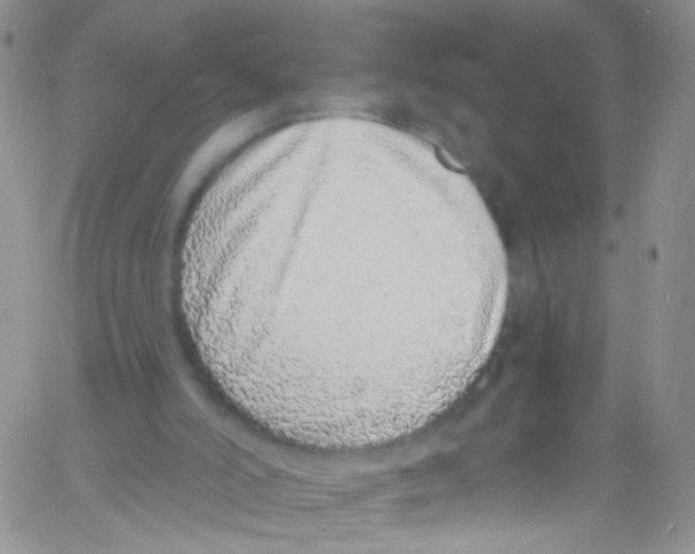 X0000060810006200512082227