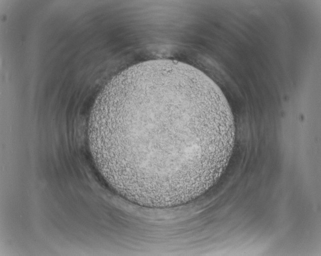 X0000060810030200512082226