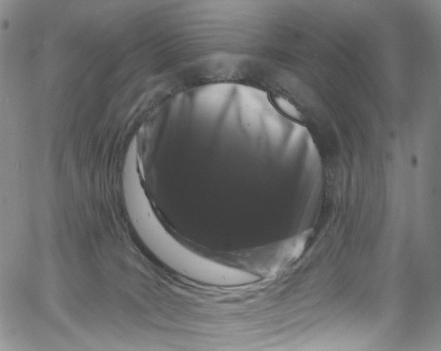 X0000060810035200512082226