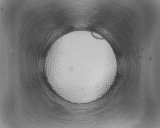X0000060810038200512082226