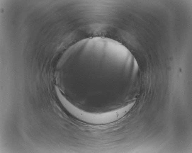 X0000060810039200512082226