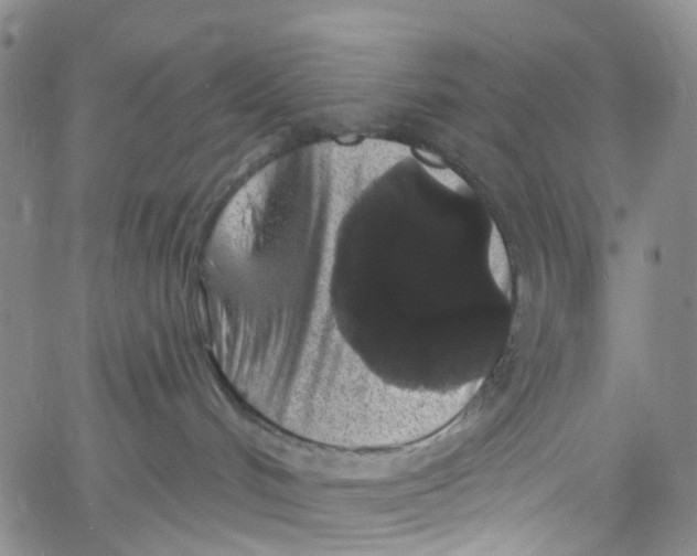 X0000060810048200512082226