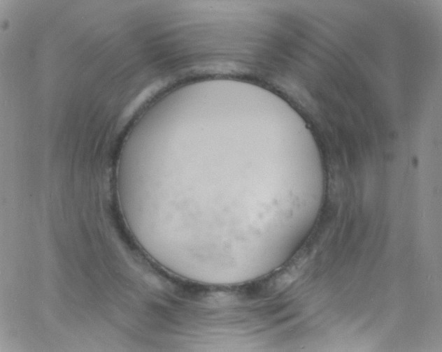 X0000060810111200512082225