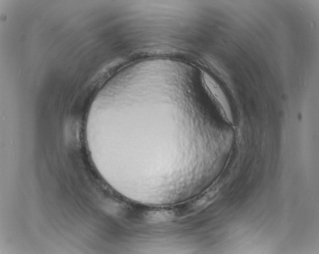 X0000060810115200512082225