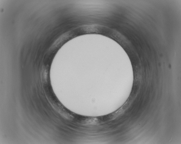 X0000060810124200512082225