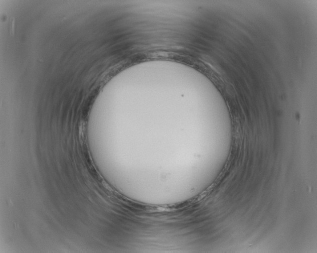 X0000060810125200512082225