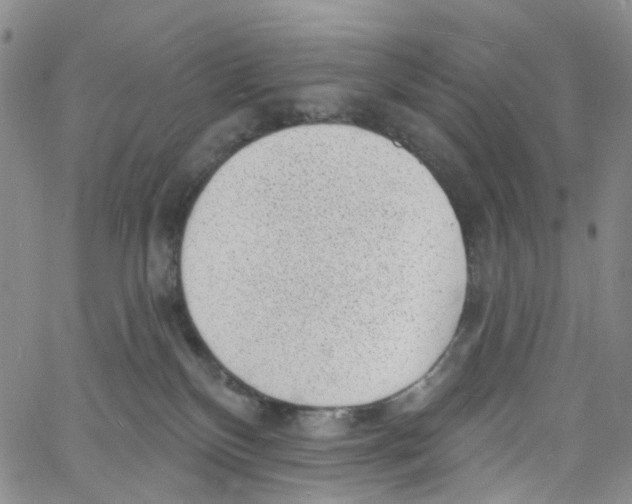 X0000060810136200512082225