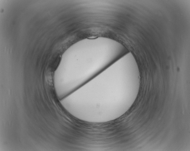 X0000060810137200512082225