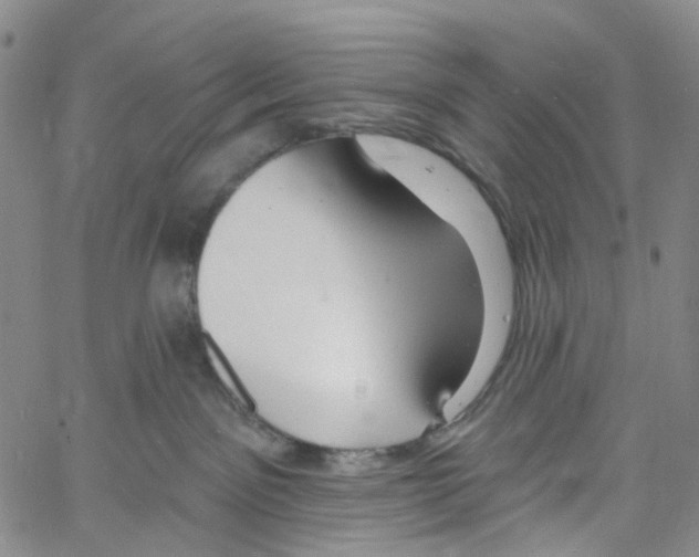 X0000060810141200512082224