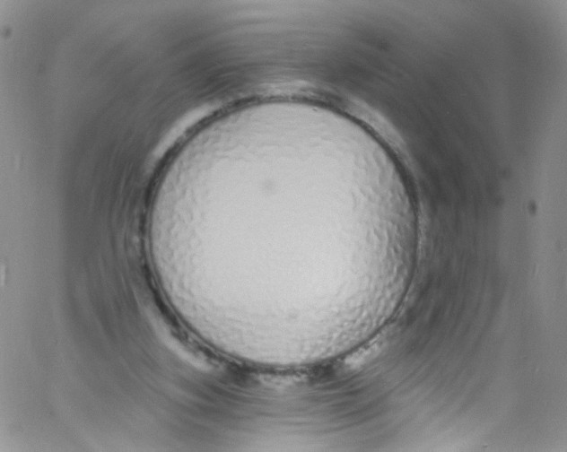X0000060810155200512082224