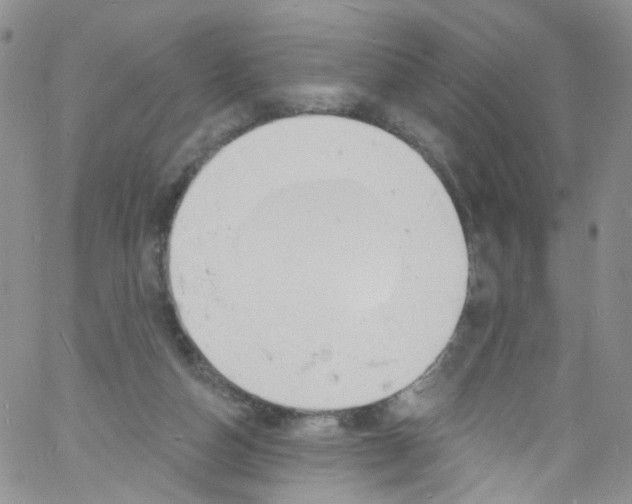 X0000060810162200512082224