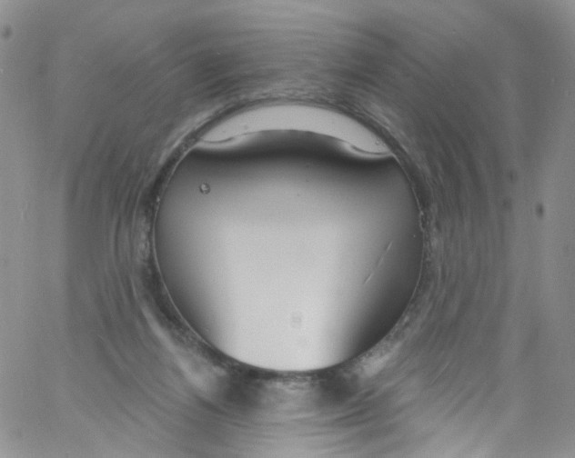 X0000060810164200512082224