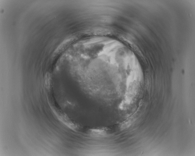 X0000060810167200512082224