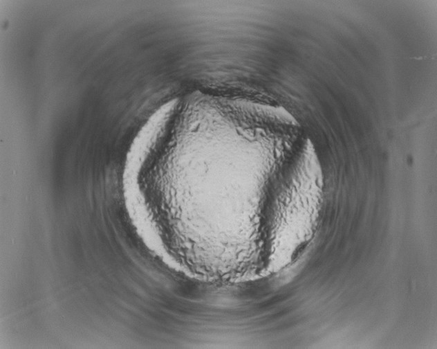 X0000060810182200512082224