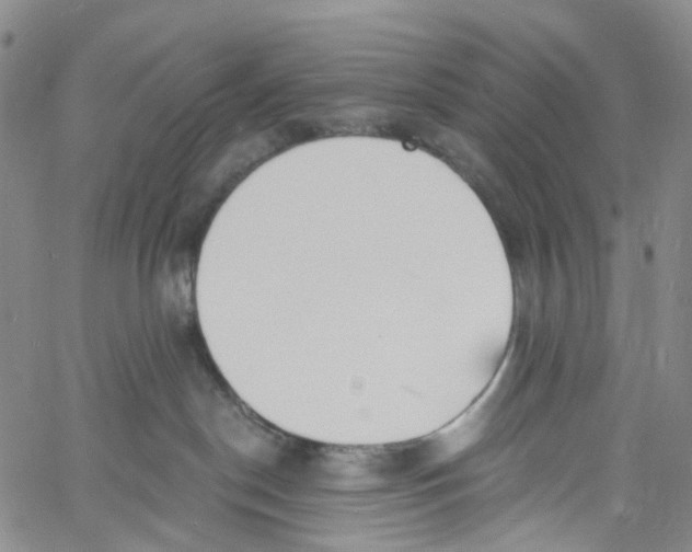 X0000060810190200512082224