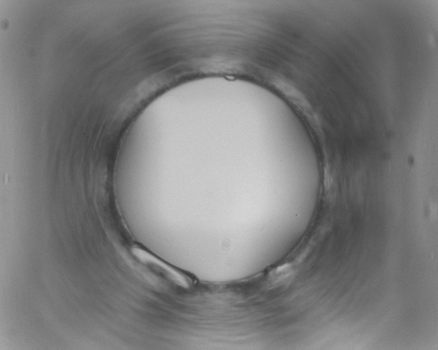 X0000060810201200512082223