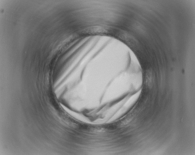 X0000060810206200512082223