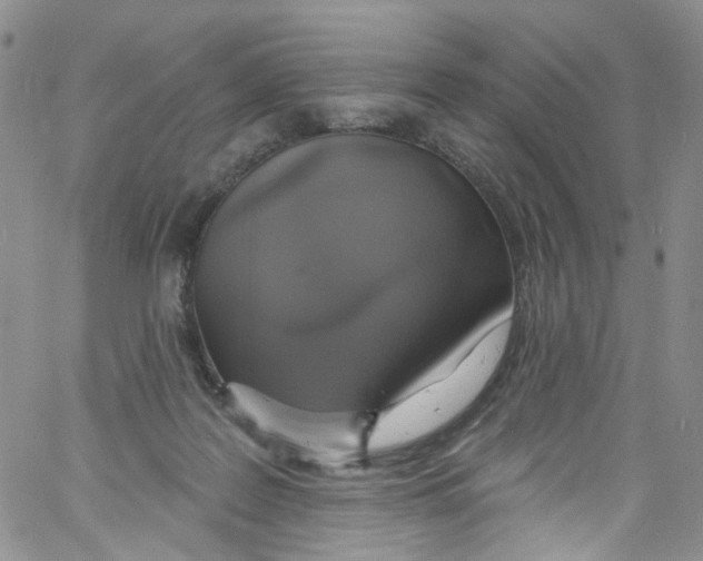 X0000060810219200512082223