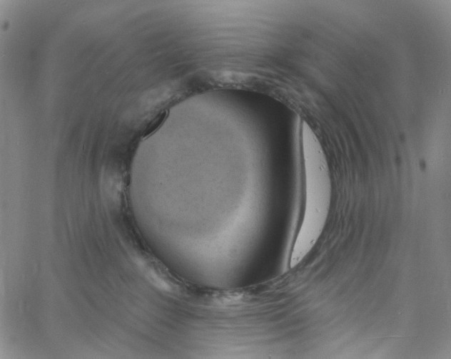 X0000060810235200512082223