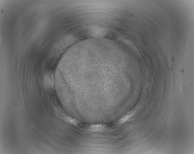 X0000060810240200512082223
