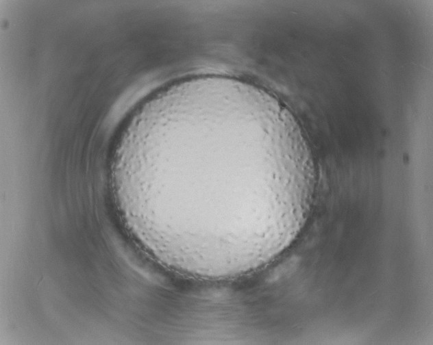 X0000060810247200512082222