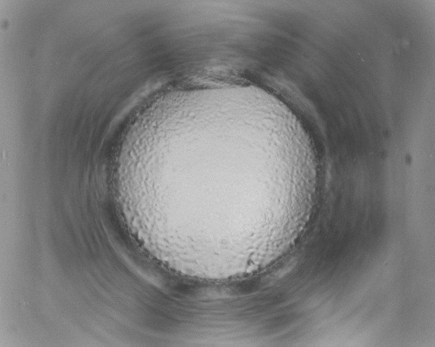 X0000060810250200512082222