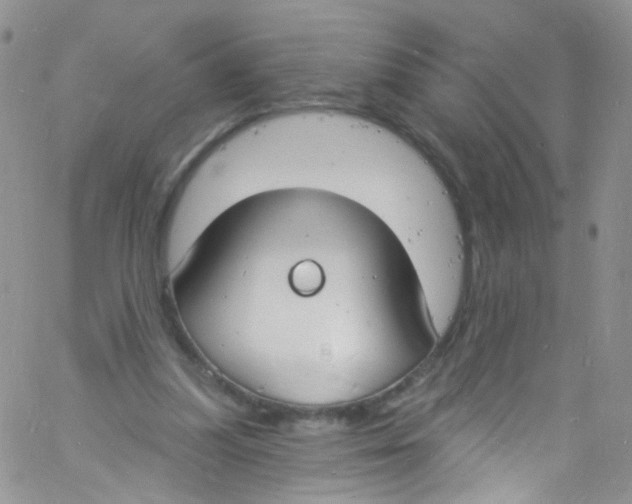 X0000060810251200512082222